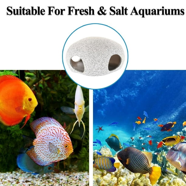 Cheapest place to buy best sale fish tanks