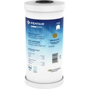 Pentair OMNIFilter TO8 10" Heavy Duty Whole House Granular Carbon Sediment, Taste & Odor Water Filter