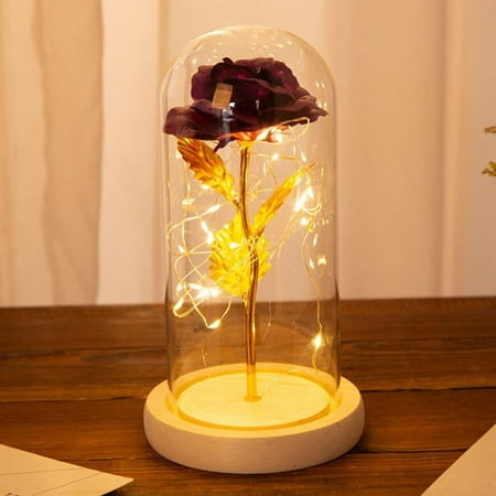 FYCONE 24K Gold Plated Dipped Rose Flower in Glass Dome LED Romantic Gift Love for Mom/Girlfriend/Wife