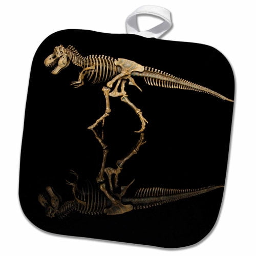 3dRose, Tennessee. T-rex dinosaur skeleton replica, reflection., 8x8 Potholder