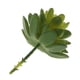 thumbnail image 5 of Artificial Piedra Flor Follaje coración Verde Zulema Planta artificial, 5 of 6