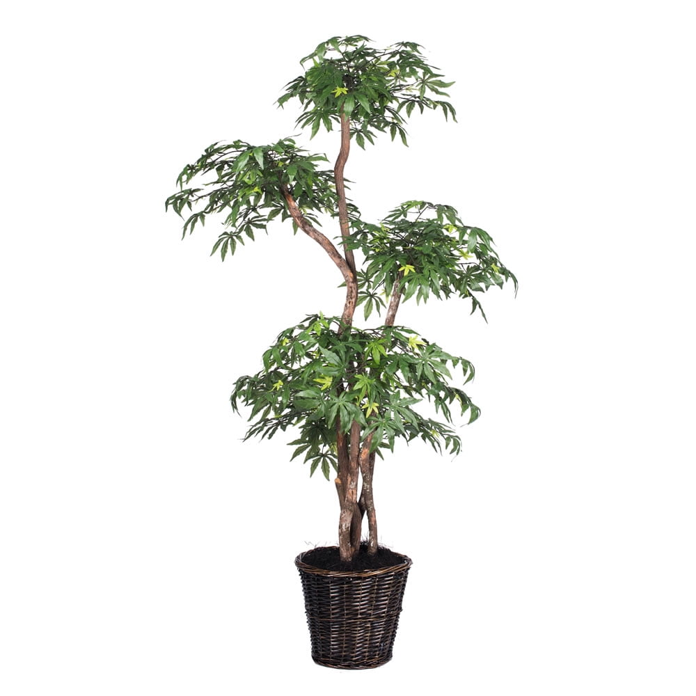 Vickerman 6' Artificial Multi Level Japanese Maple Tree, Rattan Basket