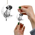 thumbnail image 5 of HCTSHG Dog Sit on the Moon Memorial Keepsake Ornament, a Touching Christmas Remembrance to Honor the Loss of a Beloved Pet, Serves as a Meaningful Gift Idea and Solemn Home Decoration, 5 of 6