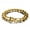 Gold, variant on Stainless Steel 14mm 7-9 Inches Dragon Head Bracelet Dragon Design Link-8.26 inches(21cm)-Gold