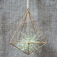 thumbnail image 2 of GLFILL Hanging Flower Pot Swing Flower Basket Tillandsia Air Plant Flower Pot Holder Decorative Triangular Metal Frame Freestanding Imitation Gold, 2 of 6