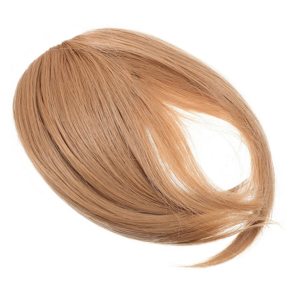 TABLZONE Realistic Design Bang Fringe for Women Hair Extensions in Matte Silk 1 Piece