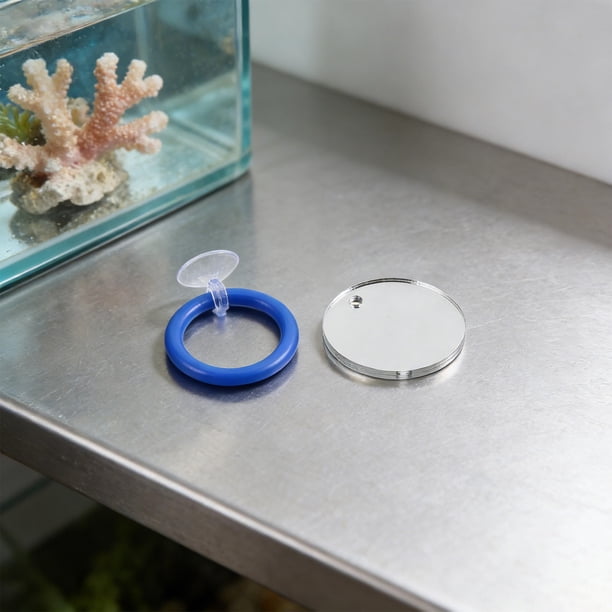 WHAMVOX 1Jgo Anillo Y Para Betta Con Ventosa Para Estimulación Mental Y Ejercicio En