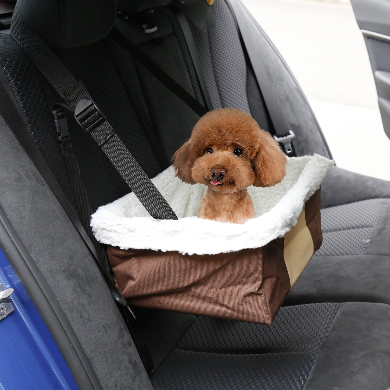 car seat 20 lbs