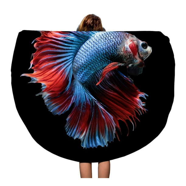 Betta electrical electric blanket deals