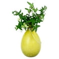 thumbnail image 5 of Achla SV-01Y Tear Rooting Vase Yellow, 5 of 7