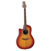 Ovation Celebrity Standard Left-Handed Acoustic-Electric Guitar Honey Burst