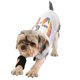 thumbnail image 1 of Ropa para perros primavera y verano fina con letras de arco iris ropa para mascotas brand modelStyleType, 1 of 2