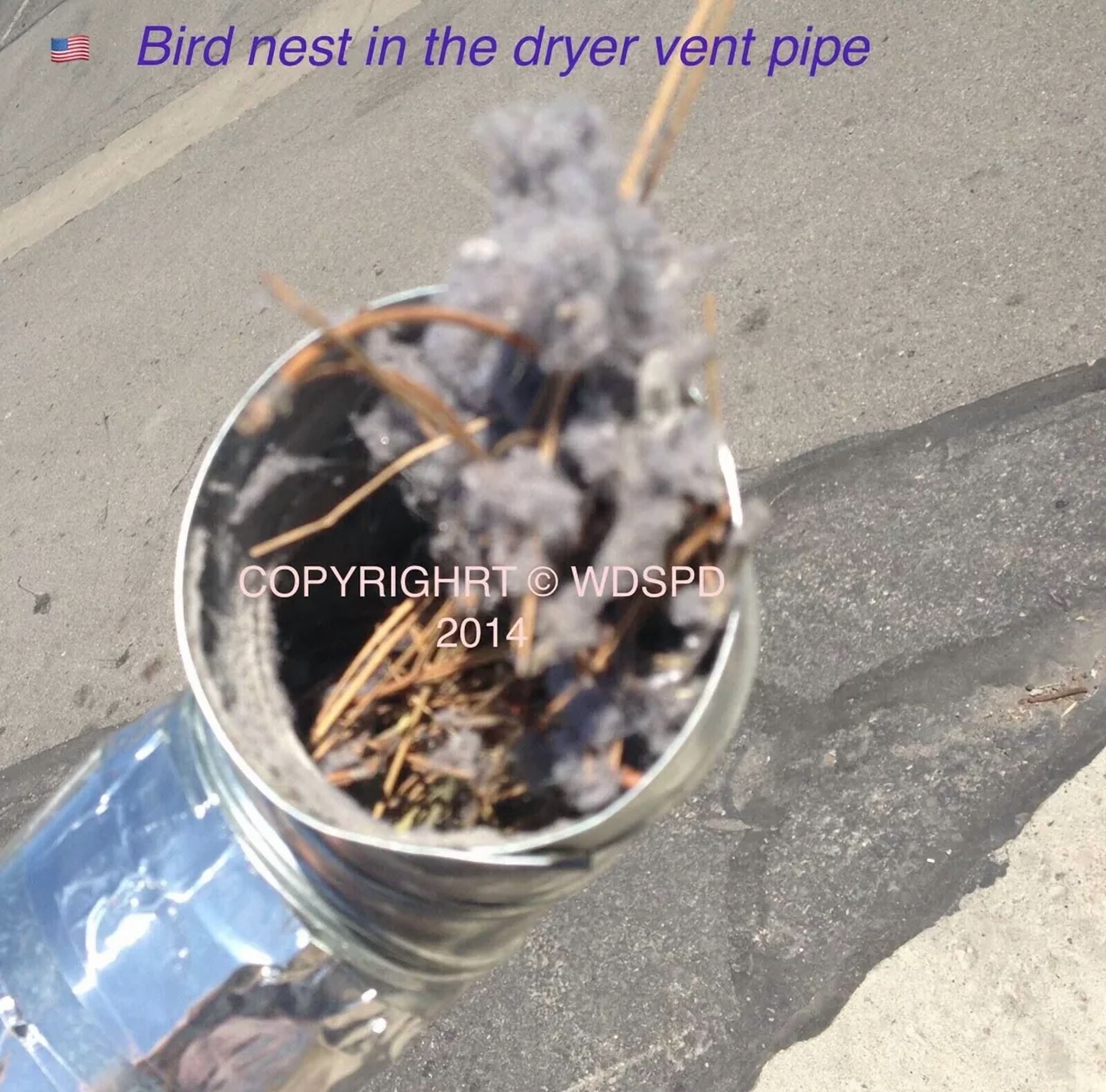 CRESTIN- The Lint Catcher Bag For Outdoor Dryer Vent. Build In The Usa.