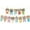 White, variant on Pet-Themed Birthday Party Banner/ Cat Banner Cat Theme Bunting Decoration For Adoption Birthday