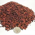 thumbnail image 2 of GB-1000 12-Type Cichlid Mix of Floating & Sinking Blackworm & Intense Coloring…1-lb, 2 of 2
