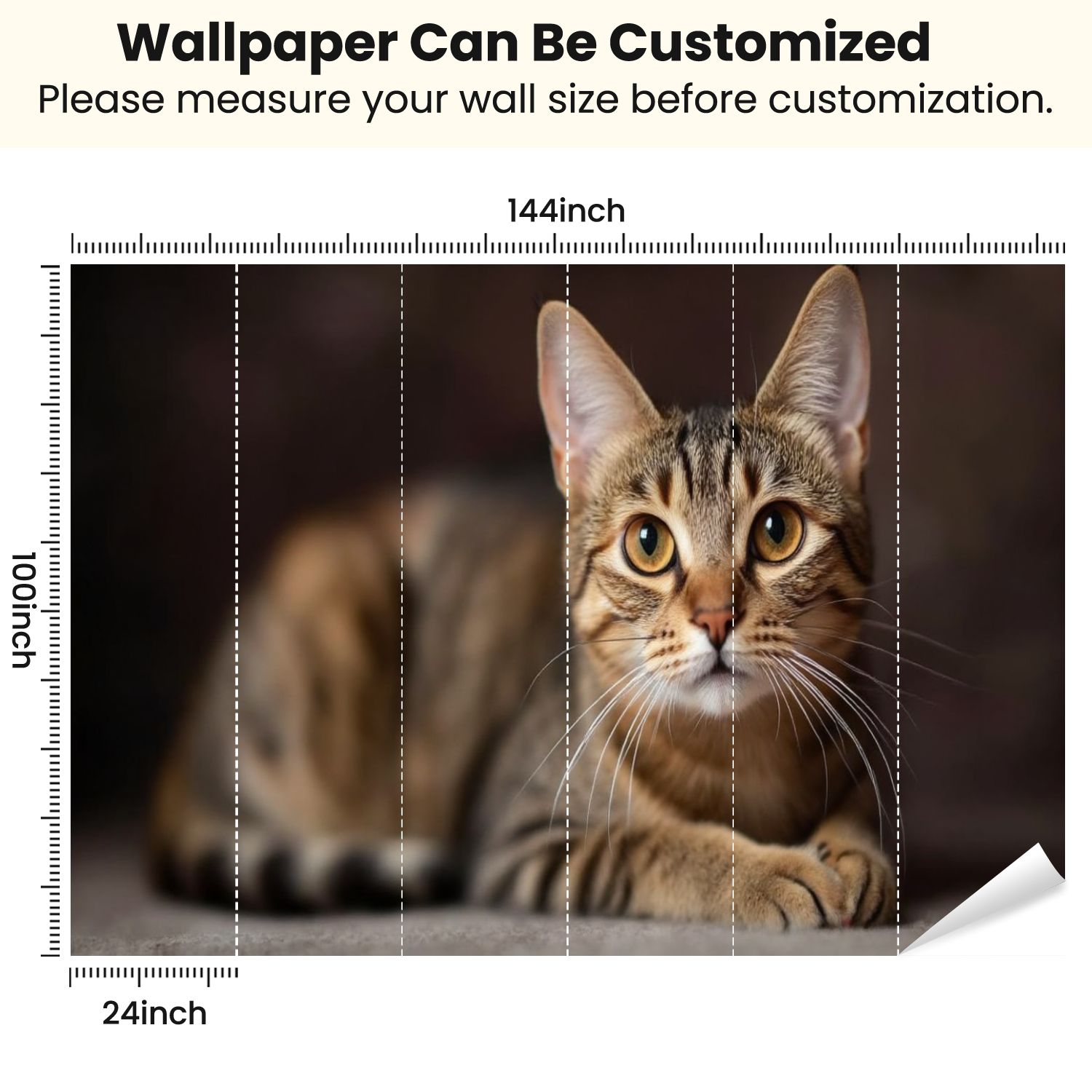 Peel and Stick Wallpaper Tabby Cat Animal Kitten Kitten Poster Cat Whiskers Expressive Eyes Modern Art Wall Mural Decor Self Adhesive and Removable 100in x 144in
