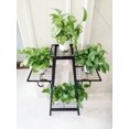 thumbnail image 1 of 3 TIER PLANT STAND - BLACK, 1 of 2