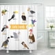 thumbnail image 1 of ABPHQTO Colorido águila pájaros lindos dibujos animados de animales en blanco naranja codorniz albatros baño infantil cortinas de ducha 152x180 cm ABPHQTO PKNMT60x72Shower-3676, 1 of 2