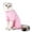 Pink, variant on Cat Recovery Suit Pet Care Bodysuit Anti Licking Wounds Help Post Operative