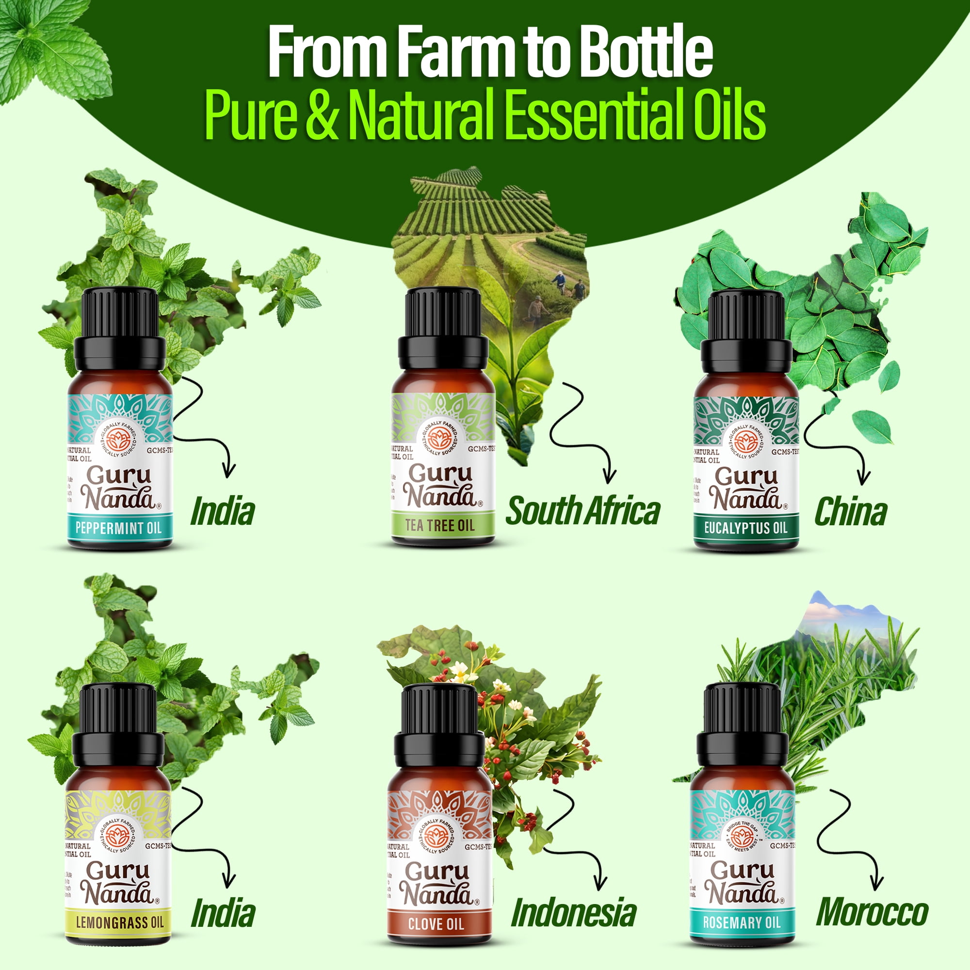 GuruNanda Herbaceous Essential Oils Collection,  Peppermint, Tea Tree, Eucalyptus, Lemongrass, Rosemary, Clove - 10 ml for Health and Wellness