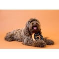 thumbnail image 3 of Juguete para Perro ZippyPaws Donutz Pumpkin Spice de Peluche Sin Relleno, 3 of 8