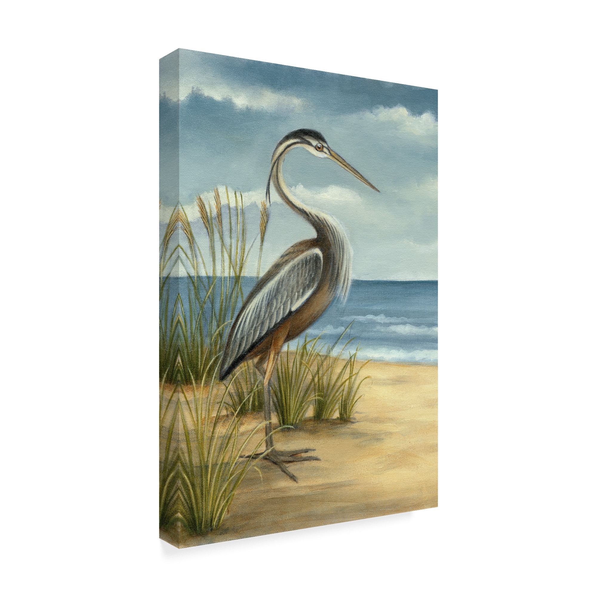 Trademark Fine Art 'Shore Bird I' Canvas Art by Ethan Harper