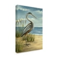 thumbnail image 2 of Trademark Fine Art 'Shore Bird I' Canvas Art by Ethan Harper, 2 of 4