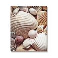 thumbnail image 5 of Stupell Various Nautical Clam Conch Shells Landscape Photography Gallery Wrapped Canvas Print Wall Art, 5 of 5