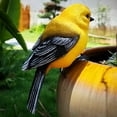 thumbnail image 3 of Bird Figurines 17cm Realistic Resin Statue Decorative Garden Patio Balcony Ornament for Home and Outdoor, 3 of 3
