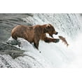 thumbnail image 2 of Stahl, Peter 18x13 White Modern Wood Framed Museum Art Print Titled - Unlucky  Jump, 2 of 4