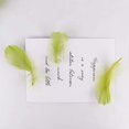 thumbnail image 4 of 450 Pieces Green Feathers for Craft Wedding Home Party Decorations, 3-5 Inches Green Craft Feathers, 4 of 7