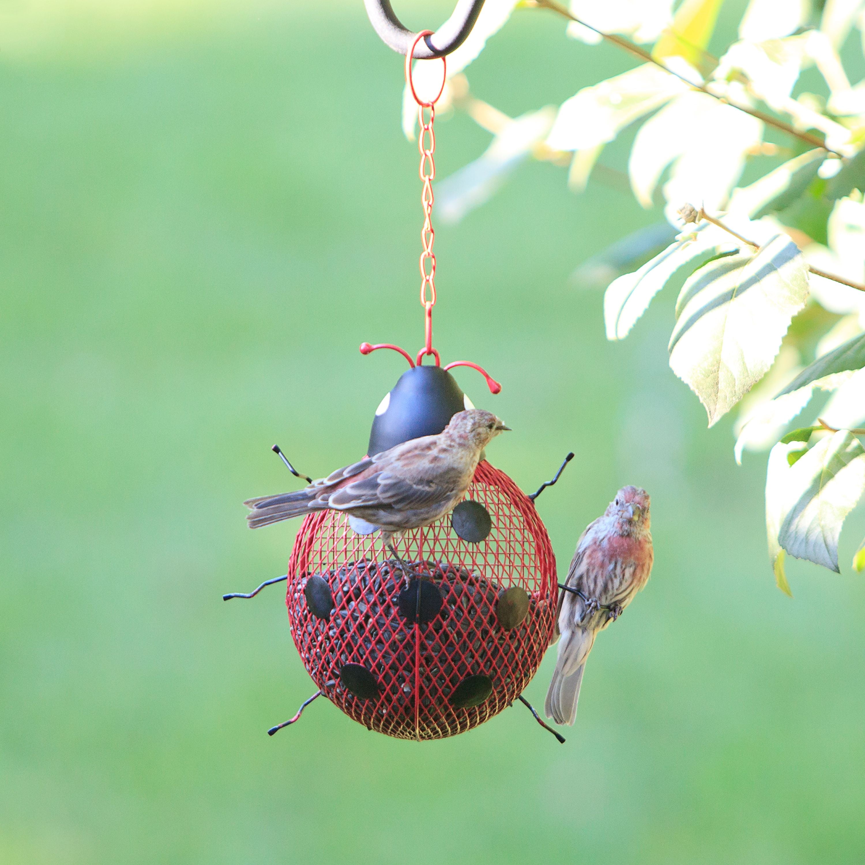 Original bird feeders - beautiful and practical Original bird feeders - beautiful and practical