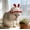 Watermelon Red, variant on Easter Bunny Ear Pet Hat for Dogs and Cats, Handmade Knit Pet Costume with Adjustable Fit, Cute Holiday Photo Prop for Small Medium Pets, Easter Party Dress Up Accessory