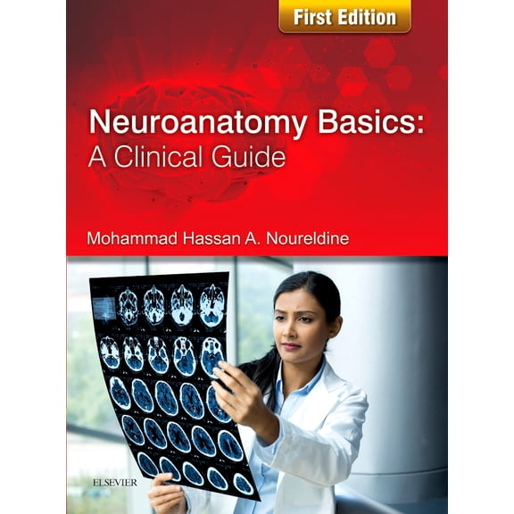 Neuroanatomy Basics: A Clinical Guide