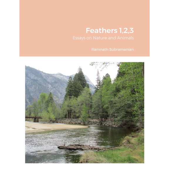 Feathers 1,2,3: Essays on Nature and Animals, (Paperback)