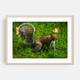 thumbnail image 2 of Public Garden Squirrel 02 - Photography Nature Animal Wildlife Autumn Forest Scenic Unframed Wall Art Print 40 x 60 inches, 2 of 7