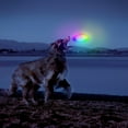 thumbnail image 6 of Nite Ize FlashFlight Dog Discuit Disc-O, 6 of 9