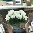 thumbnail image 4 of Hydrangea Artificial Flowers 4 Pack Artificial Flowers for Outdoors 14'' Red Geranium Silk Flowers Outdoor UV Resistant Garden Plants Bush Faux Flowers for Home Wedding Kitchen Decor (White), 4 of 8