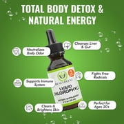 Benevolent Nourishment Liquid Chlorophyll Drops Herbal Supplement, Natural Mint, 2 fl oz
