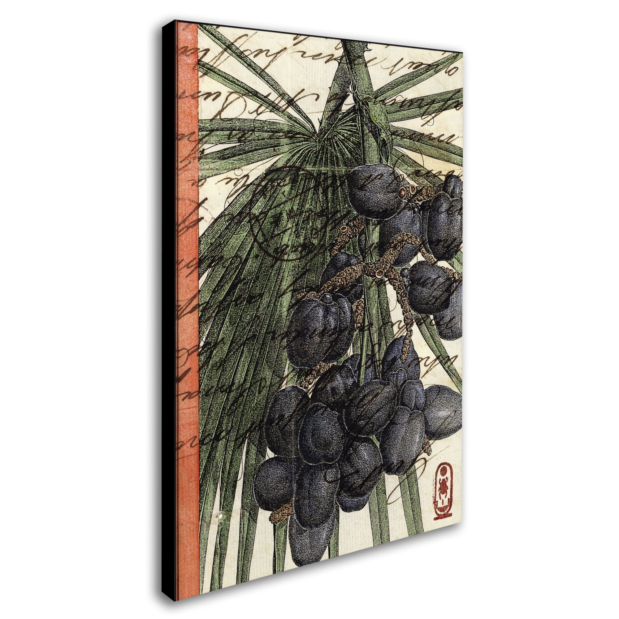 Trademark Fine Art 'Plums' Canvas Art by Nick Bantock