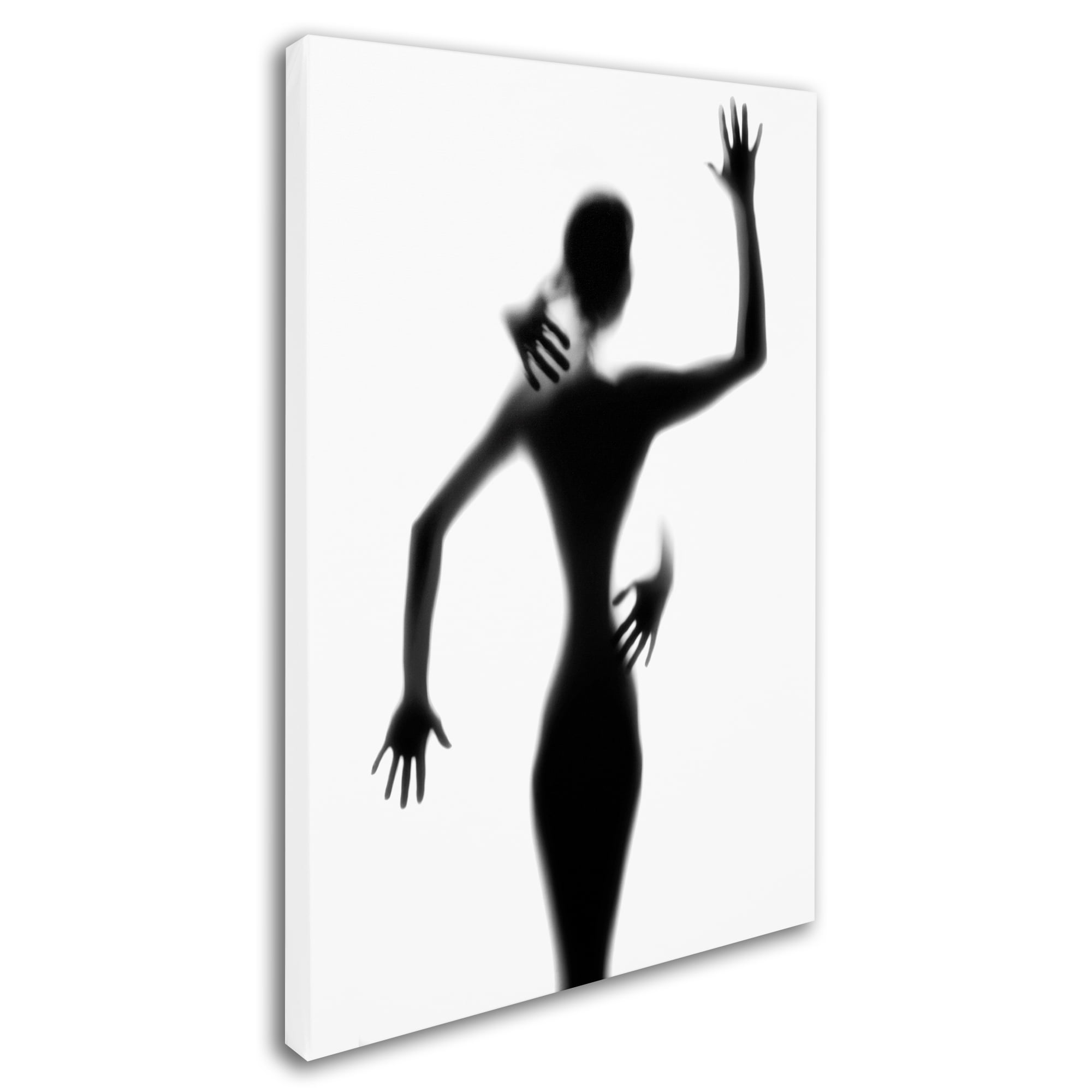 Trademark Fine Art 'Touch' Canvas Art by Vaja Vaclav