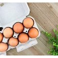 thumbnail image 3 of Cornucopia Brands Half Dozen Egg Cartons (30-Pack); Split Apart Style for 6 Egg or 12 Egg Use; Holds 180 Eggs Total, 3 of 6