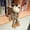 25cm, variant on 25cm Stuffed Lifelike Lion Tiger Elephant Monkey Leopard Giraffe Raccoon Doll Simulation Forest Animals Plush Toys for Kids Gift 25cm zebra