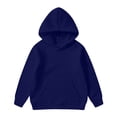 thumbnail image 3 of Liyamei Children Kids Boys And Girls Long Sleeve Letter Printed Lightweight Hoodie Sweatshirts And Long Pants Set Outfit Girls Casual Sets Size Blue 2-3 Years, 3 of 5