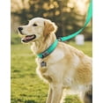 thumbnail image 3 of Collar para perros Joytale acolchado de neopreno ajustable para perros grandes, 3 of 5