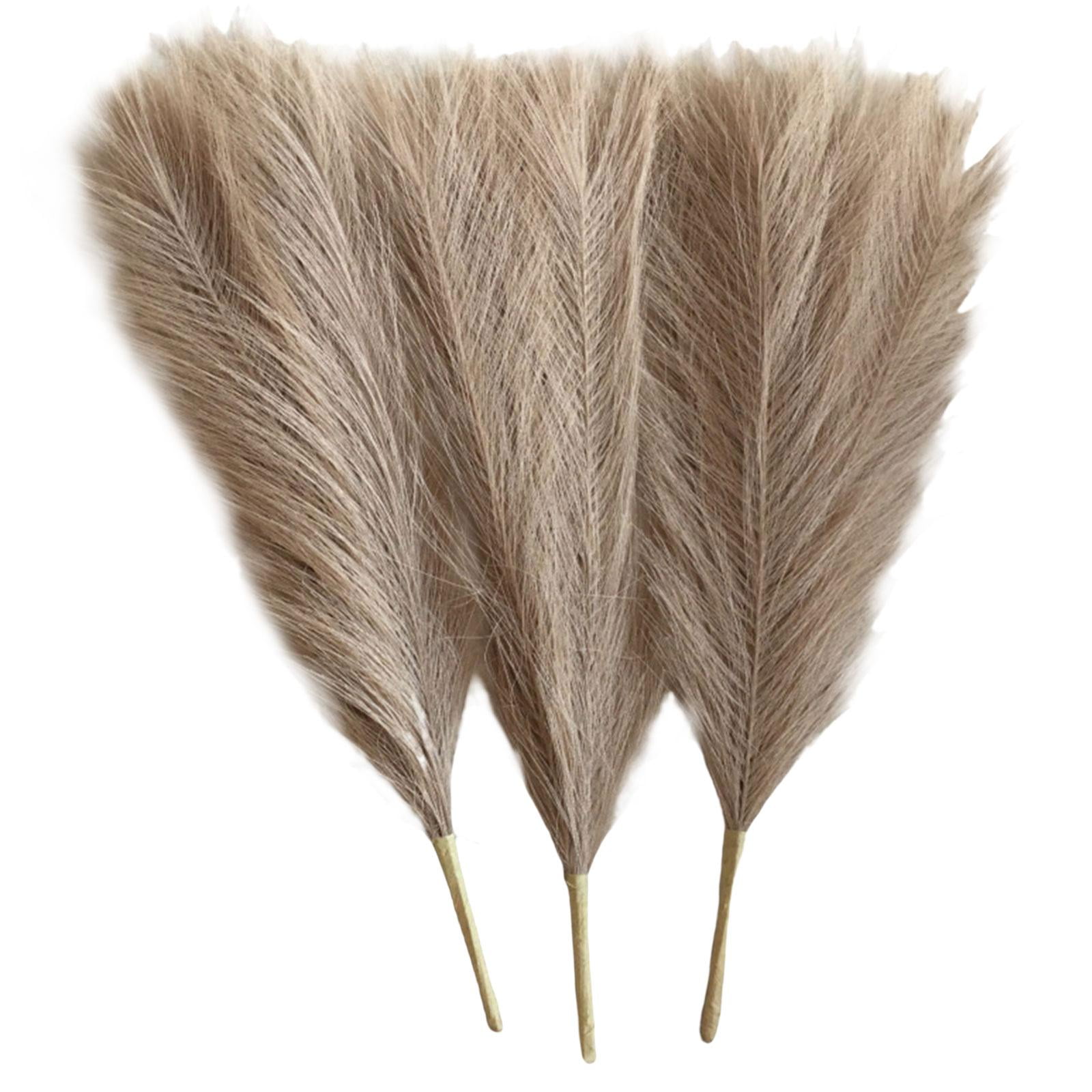 Axioma 9 Pieces Dried Pampas Grass Bohemia Reed Flowers Bunch Home Gift Living Room