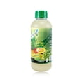 thumbnail image 3 of Jugo de Aloe Vera 1L BEST HEATLH con trocitos de sábila y doble pulpa BEST HEALTH Jugo  Aloe Vera 1 Litro Best Health, 3 of 4