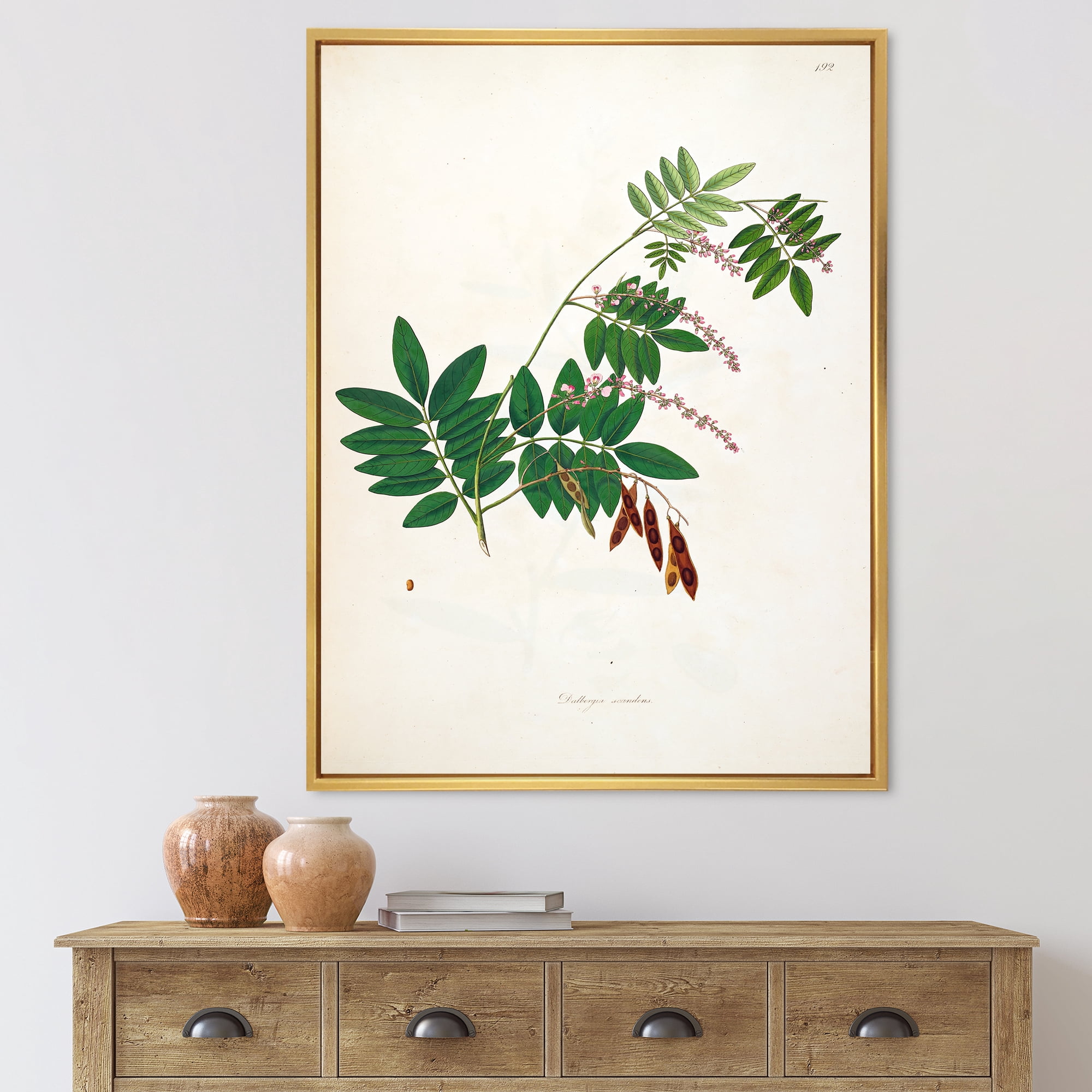 Designart 'Ancient Botanicals XI' Farmhouse Framed Canvas Wall Art Print
