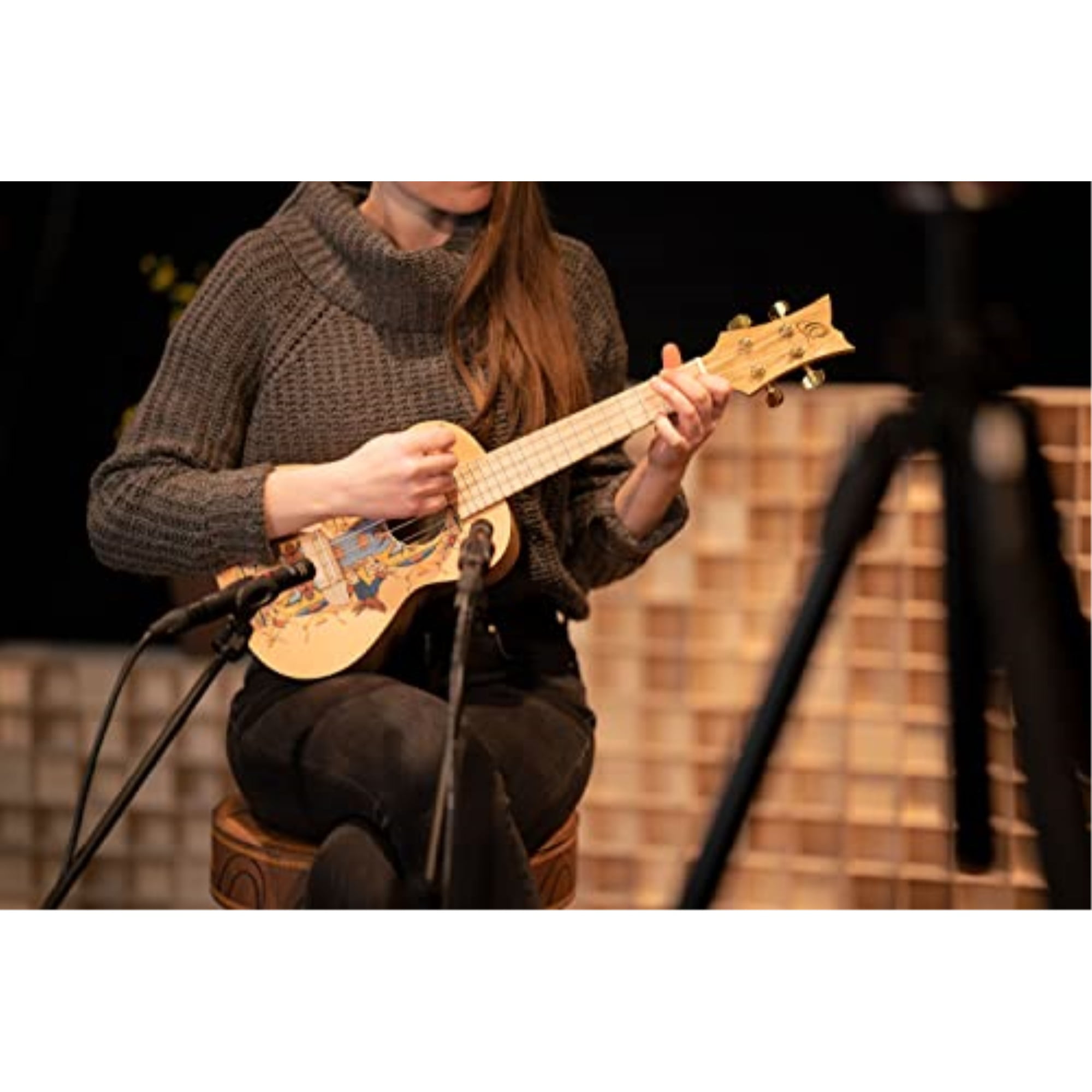 Art Series Concert Ukulele
