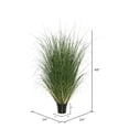 thumbnail image 3 of Vickerman 48" Artificial Potted Green Curled Grass., 3 of 5